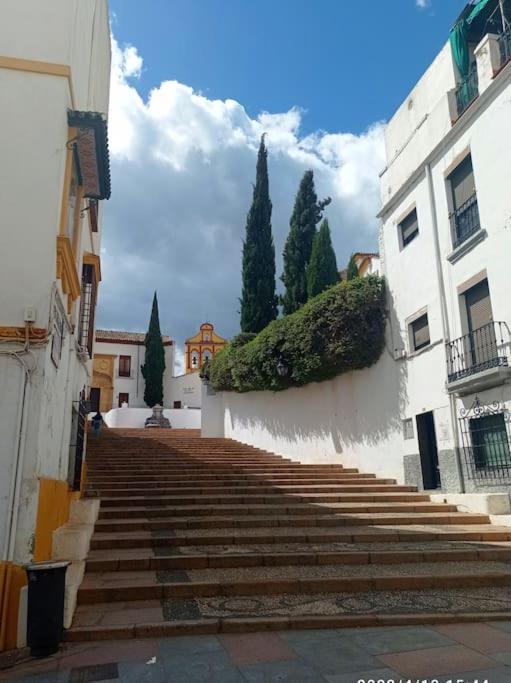 Precioso Loft En El Centro De Cordoba. Apartment Ngoại thất bức ảnh
